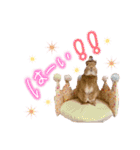 うさぎのおもち3（個別スタンプ：10）
