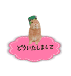 うさぎのおもち3（個別スタンプ：14）