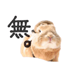 うさぎのおもち3（個別スタンプ：16）