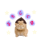 うさぎのおもち3（個別スタンプ：21）