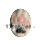 保護猫のもふちゃん♡"（個別スタンプ：28）