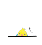 インコのレモンちゃん.（個別スタンプ：10）