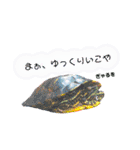 free 大阪店（個別スタンプ：14）