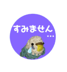 あみぐるみインコ3（個別スタンプ：9）