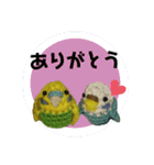 あみぐるみインコ3（個別スタンプ：13）