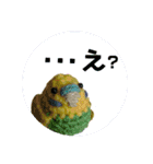 あみぐるみインコ3（個別スタンプ：18）