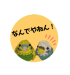 あみぐるみインコ3（個別スタンプ：30）