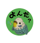 あみぐるみインコ3（個別スタンプ：32）