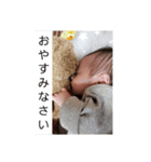 れんきくんの日常スタンプ（個別スタンプ：1）