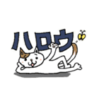 ねこと人の仲良しスタンプ（個別スタンプ：6）