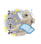 みんなのアイドル！！ ボムちゃんスタンプ（個別スタンプ：2）