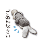 みんなのアイドル！！ ボムちゃんスタンプ（個別スタンプ：6）
