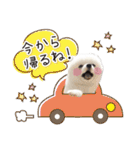 みんなのアイドル！！ ボムちゃんスタンプ（個別スタンプ：8）