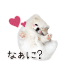 みんなのアイドル！！ ボムちゃんスタンプ（個別スタンプ：24）