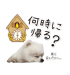 みんなのアイドル！！ ボムちゃんスタンプ（個別スタンプ：30）