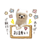 みんなのアイドル！！ ボムちゃんスタンプ（個別スタンプ：33）