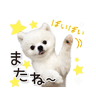 みんなのアイドル！！ ボムちゃんスタンプ（個別スタンプ：34）