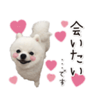 みんなのアイドル！！ ボムちゃんスタンプ（個別スタンプ：37）