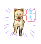 我が家の癒しさん（個別スタンプ：2）