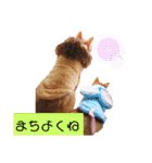 悟空と銀のお話（個別スタンプ：2）