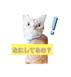 悟空と銀のお話（個別スタンプ：15）