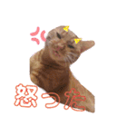 悟空と銀のお話（個別スタンプ：16）