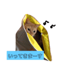 悟空と銀のお話（個別スタンプ：19）