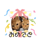 悟空と銀のお話（個別スタンプ：23）
