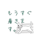 シロネコ日和（個別スタンプ：14）