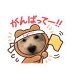 ウェスティアンディ1（個別スタンプ：14）