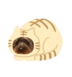 ウェスティアンディ1（個別スタンプ：30）