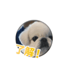 シド くん（個別スタンプ：2）