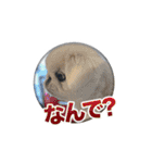 シド くん（個別スタンプ：3）
