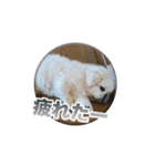 シド くん（個別スタンプ：4）