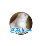 シド くん（個別スタンプ：5）