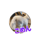 シド くん（個別スタンプ：7）