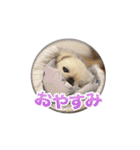 シド くん（個別スタンプ：9）