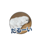 シド くん（個別スタンプ：10）