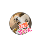 シド くん（個別スタンプ：13）