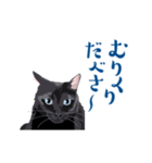 北海道弁を喋る黒猫（個別スタンプ：8）