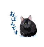 北海道弁を喋る黒猫（個別スタンプ：10）