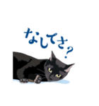 北海道弁を喋る黒猫（個別スタンプ：12）