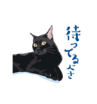 北海道弁を喋る黒猫（個別スタンプ：13）