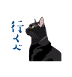 北海道弁を喋る黒猫（個別スタンプ：16）