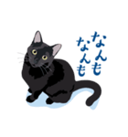 北海道弁を喋る黒猫（個別スタンプ：20）