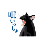 北海道弁を喋る黒猫（個別スタンプ：21）