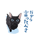 北海道弁を喋る黒猫（個別スタンプ：22）