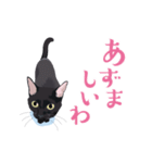 北海道弁を喋る黒猫（個別スタンプ：23）