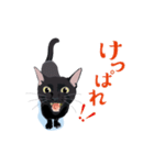 北海道弁を喋る黒猫（個別スタンプ：24）