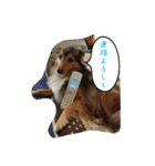 藤村ちょこ！（個別スタンプ：2）